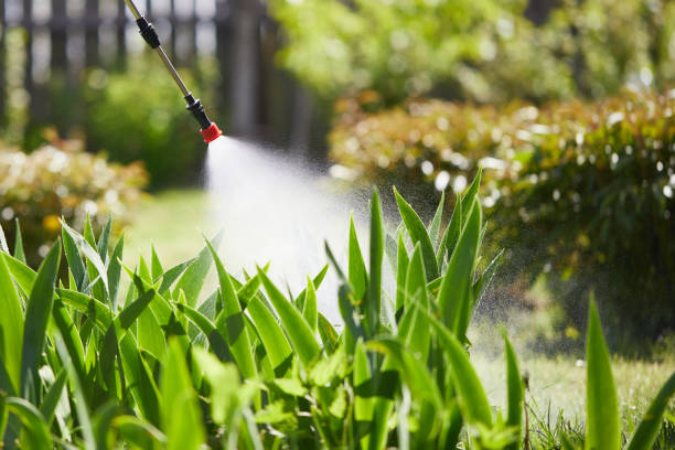 24/7 Emergency Cockroach Control experts in Arcadia, CA